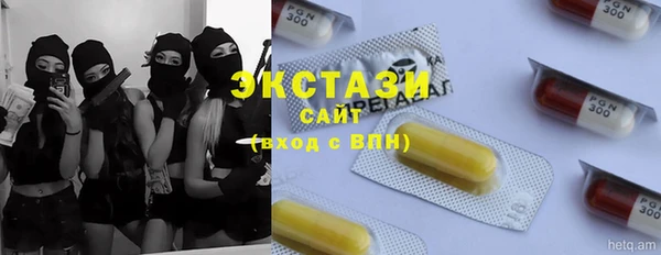 хмурый Алексин