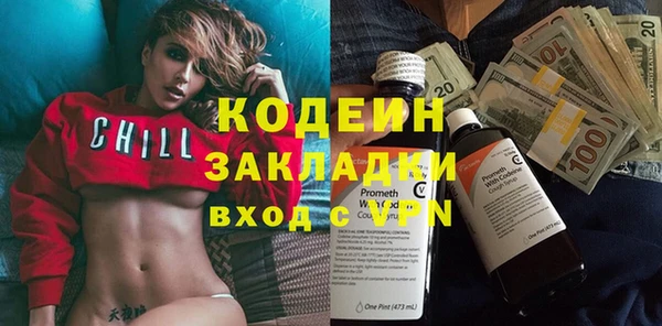 хмурый Алексин