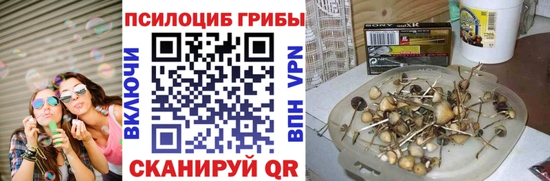 Галлюциногенные грибы MAGIC MUSHROOMS  как найти закладки  hydra зеркало  Северодвинск 